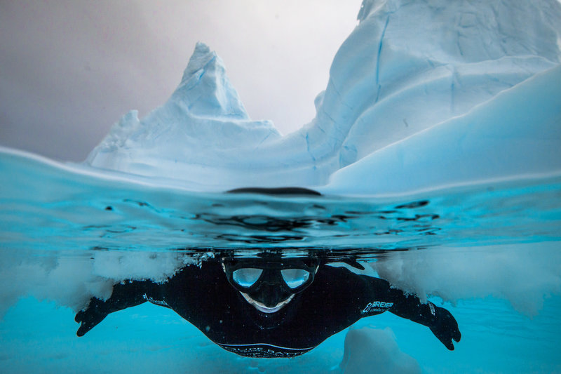 【画像】Red Bullが送る最大の捕食者でフリーダイビング、モルティブ・南極12