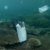 【動画】海を汚してしまう廃棄物(プラスチック)について考えさせられるムービー