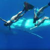 【動画】フリーダイビング(スキンダイビング)でクジラと泳ぐ‼GoProハイクオリティ動画