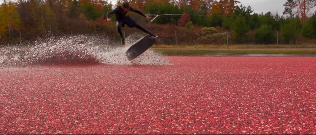 紅く染まるクランベリー畑でウェイクボードで滑走！