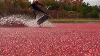【動画】紅く染まるクランベリー畑でウェイクボードで滑走！