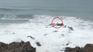 【動画】あわや大惨事ライディング後、岩に打ち上げられるサーファー