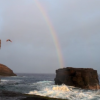 【動画】ハワイのマウイ島でサーフィンを焦点としたムービー