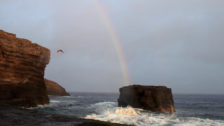 【動画】ハワイのマウイ島でサーフィンを焦点としたムービー