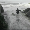 【動画】荒れているポイントで波のチェックの際は要注意！