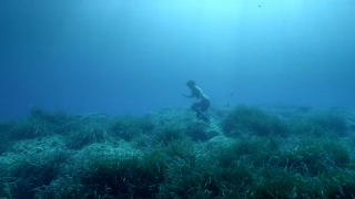 【動画】映像美！海に焦点を当てた国際海洋フ​​ィルムOCEAN FILM TOURトレーラー