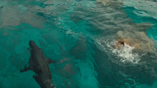 【動画】岸はすぐそこ、海にはサメが・・・・美女サーファーの運命は？？