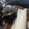 【動画】空腹シャチを逃れるためにボートに乗って赤ちゃんアシカがジャンプ
