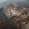 【動画】SUPサーフィン中に目の前にクジラが！